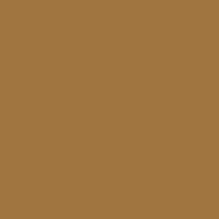 color chip