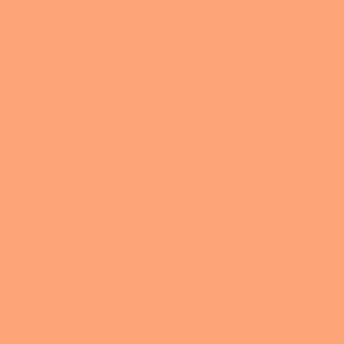 color chip