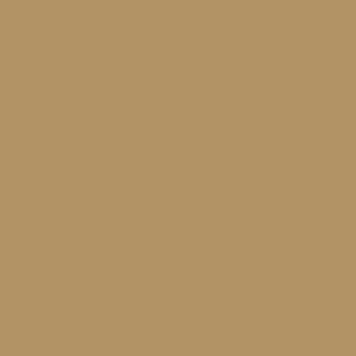 color chip