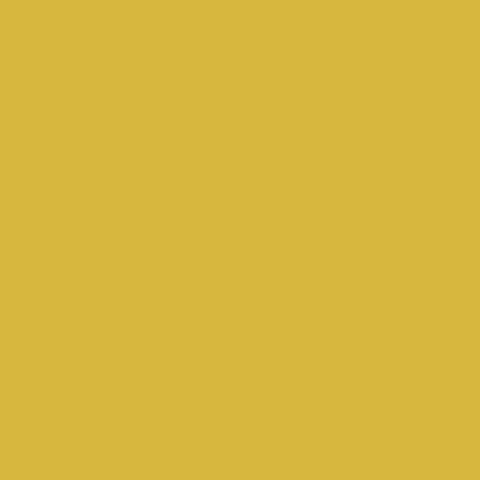 color chip