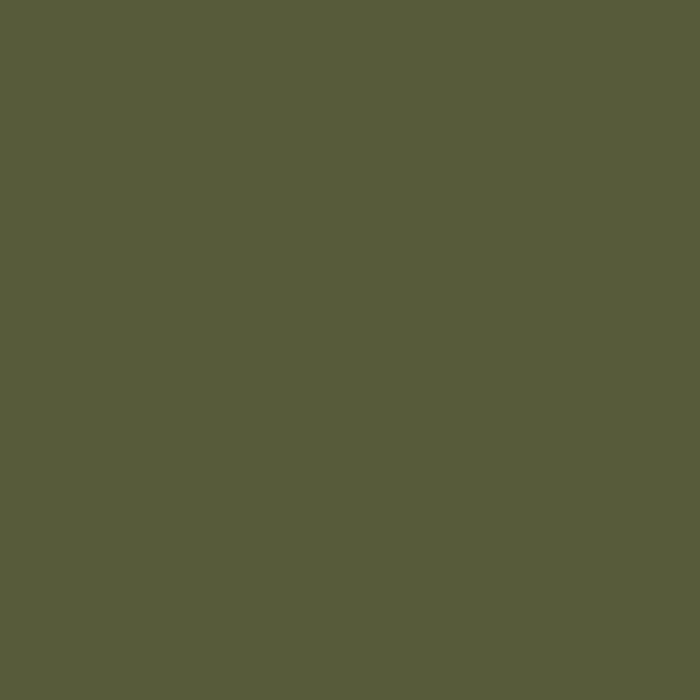 color chip