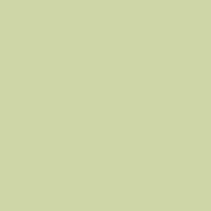 color chip