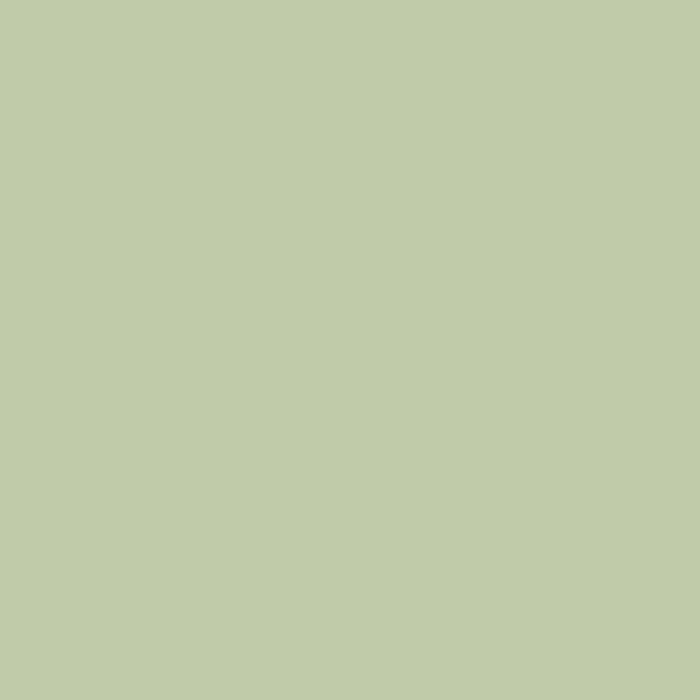 color chip