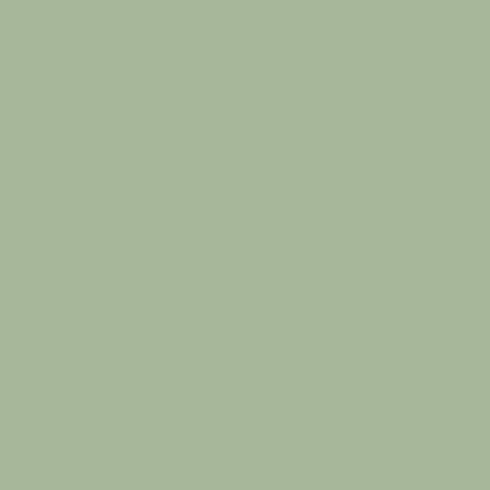color chip
