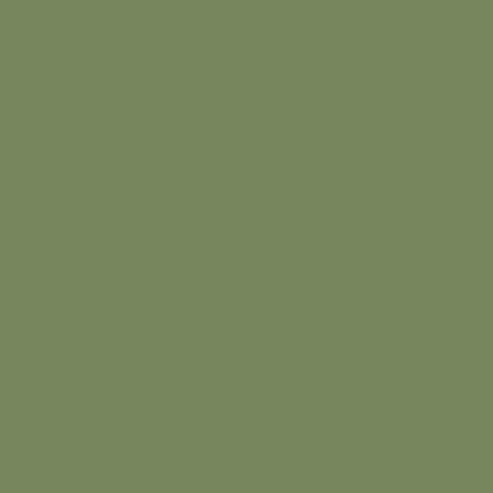 color chip