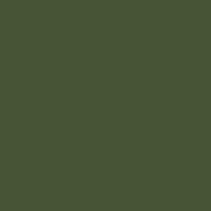 color chip