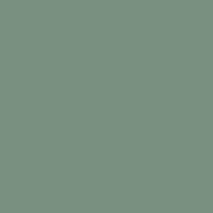 color chip