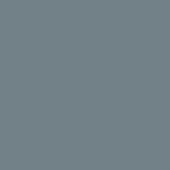 color chip