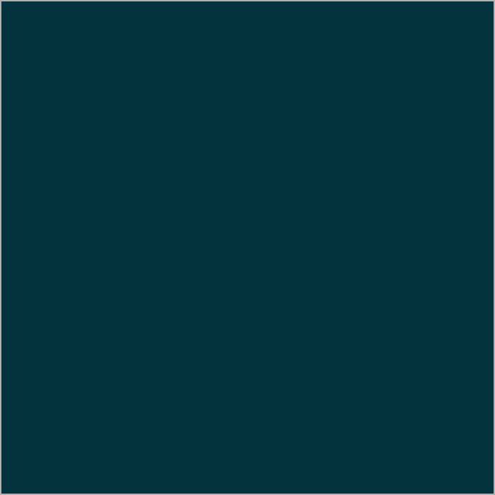 color chip