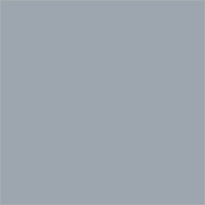 color chip