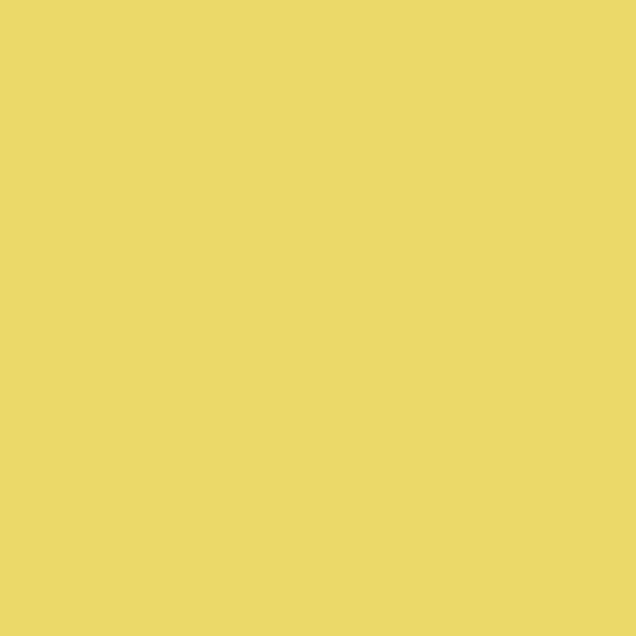 color chip