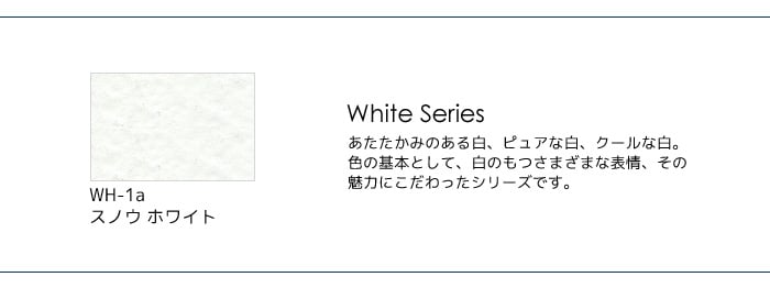 カラーバリエーション