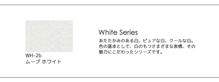 カラーバリエーション