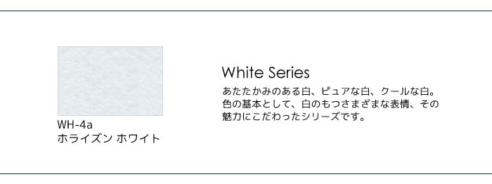 カラーバリエーション