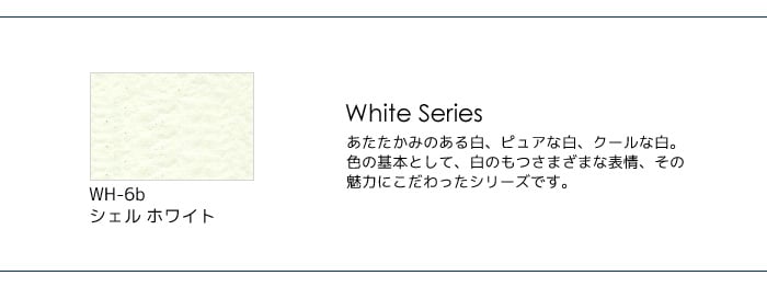 カラーバリエーション