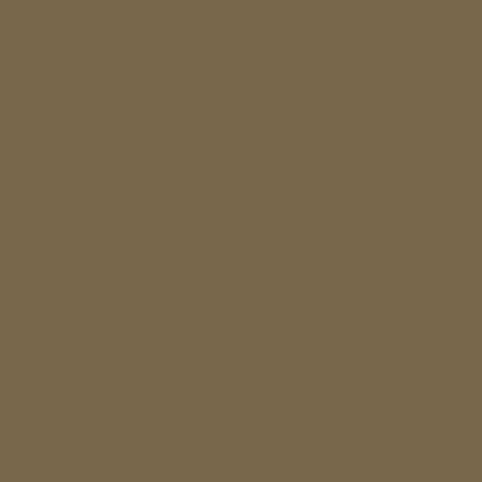 color chip
