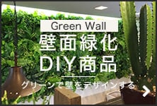 壁面緑化DIY