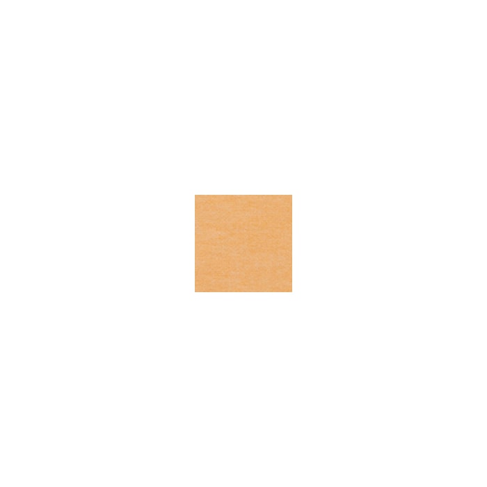 color chip