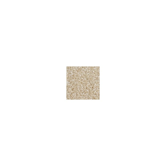 color chip