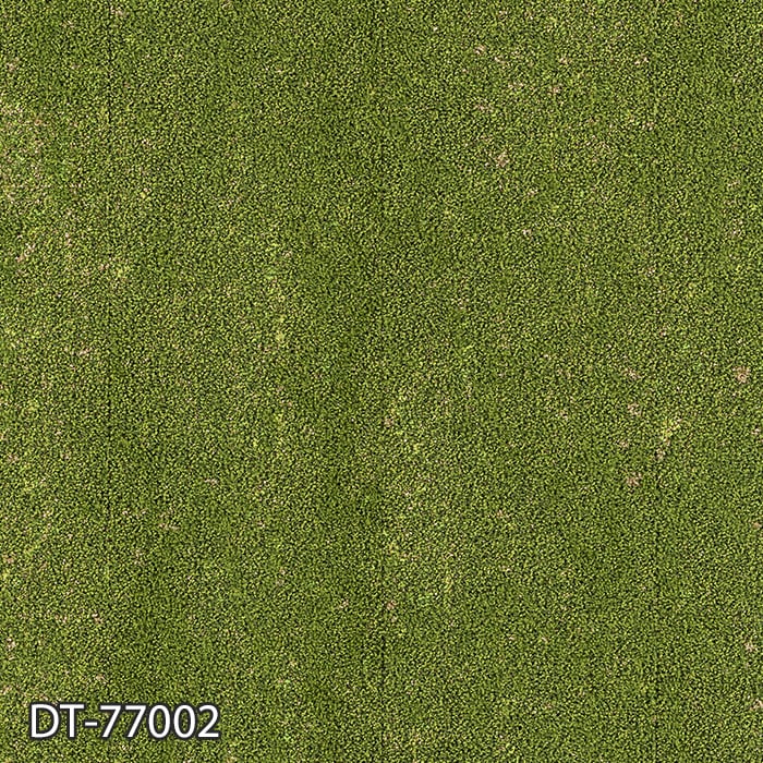 DT-77002