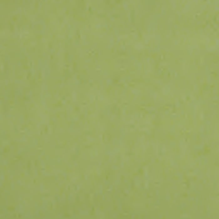 color chip
