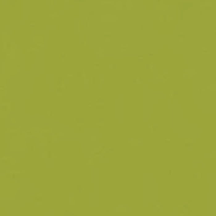 color chip