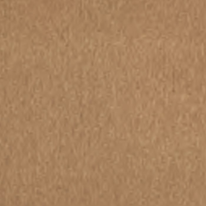 color chip