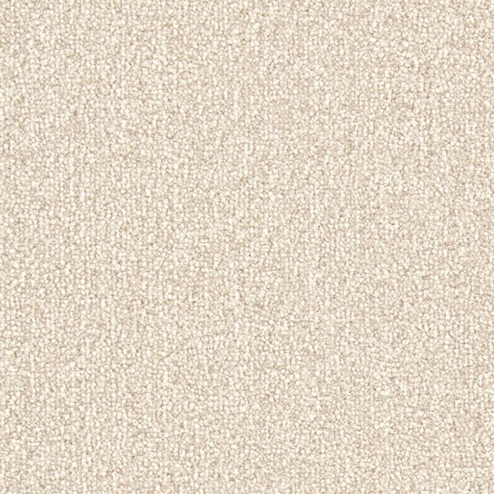color chip