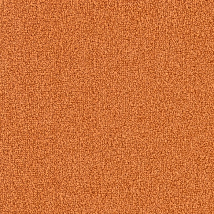 color chip