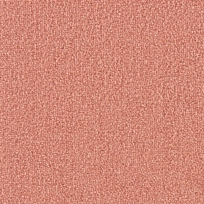 color chip