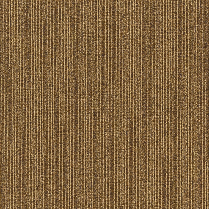 color chip