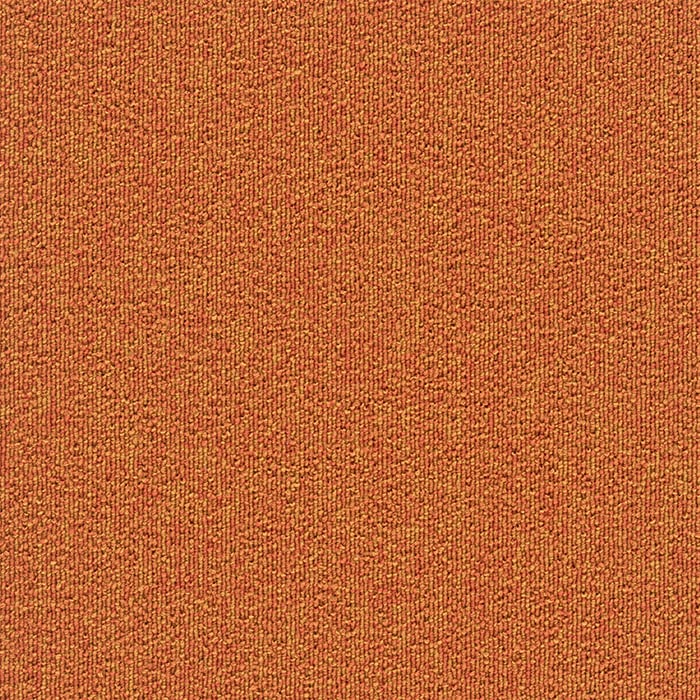 color chip