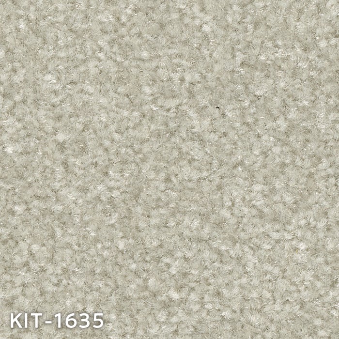 color chip