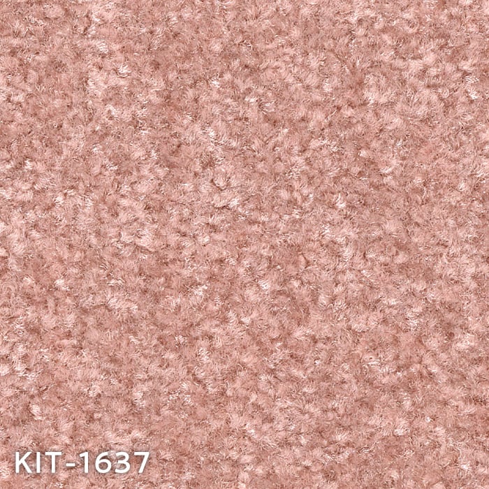color chip