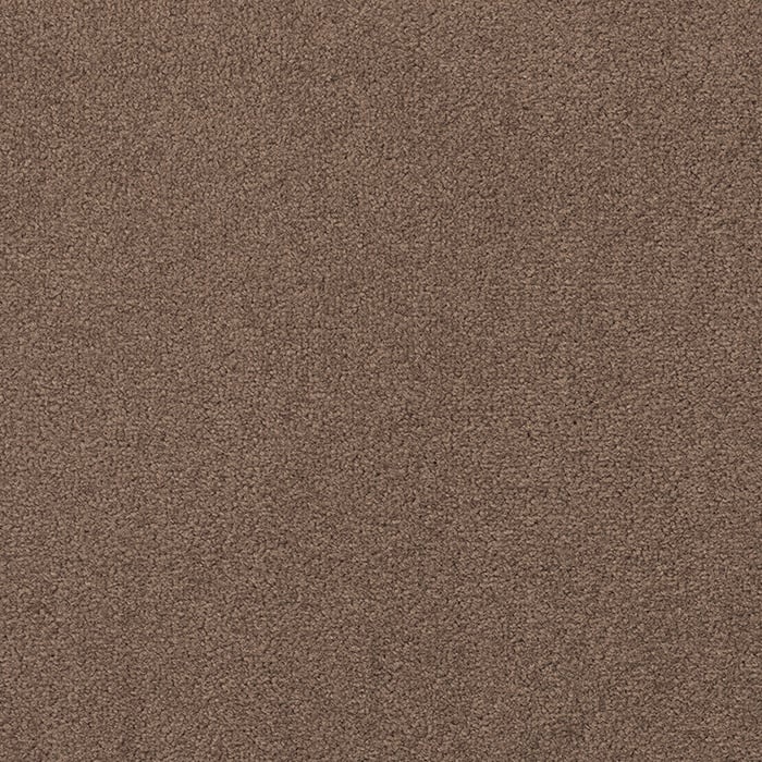color chip