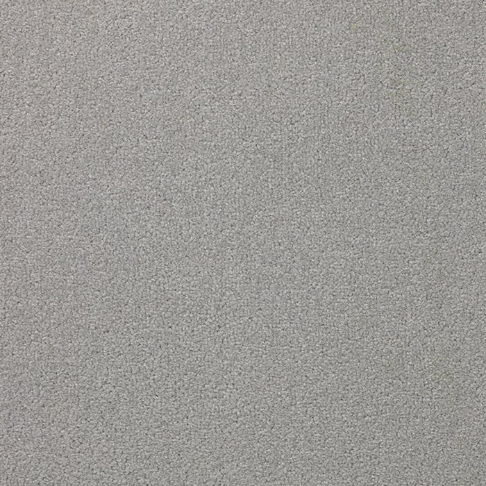 color chip