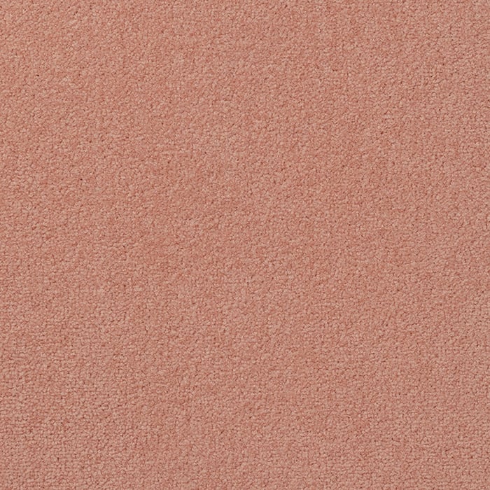 color chip