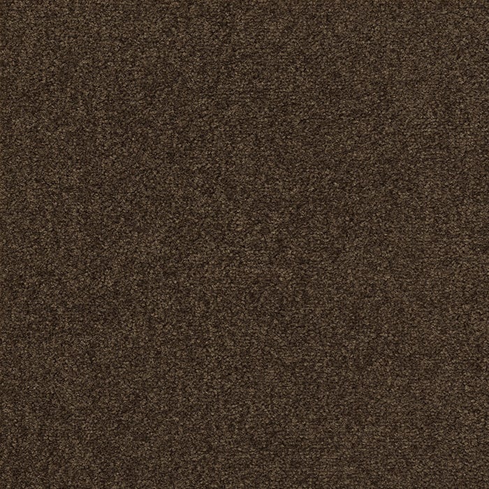 color chip