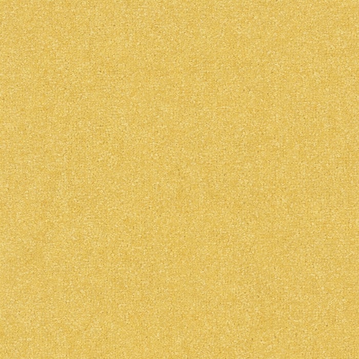 color chip