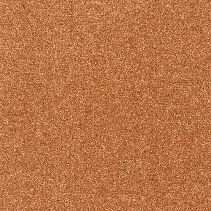 color chip