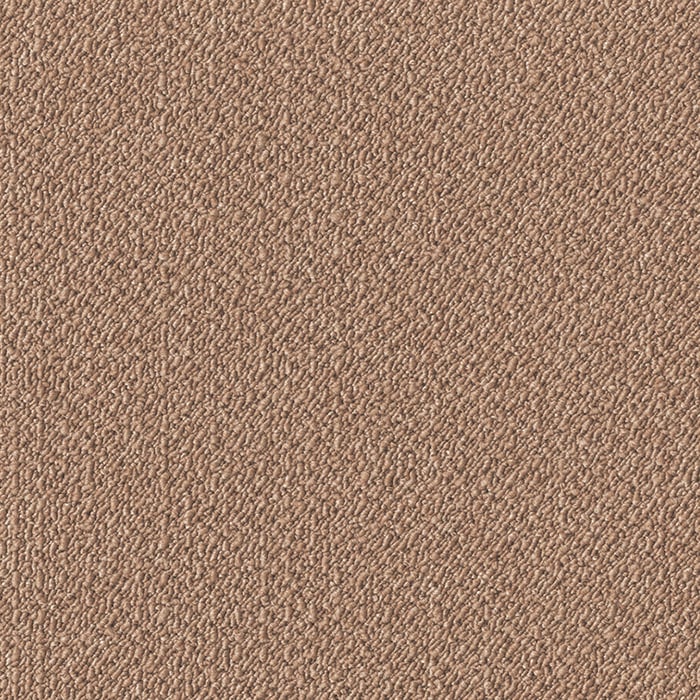color chip
