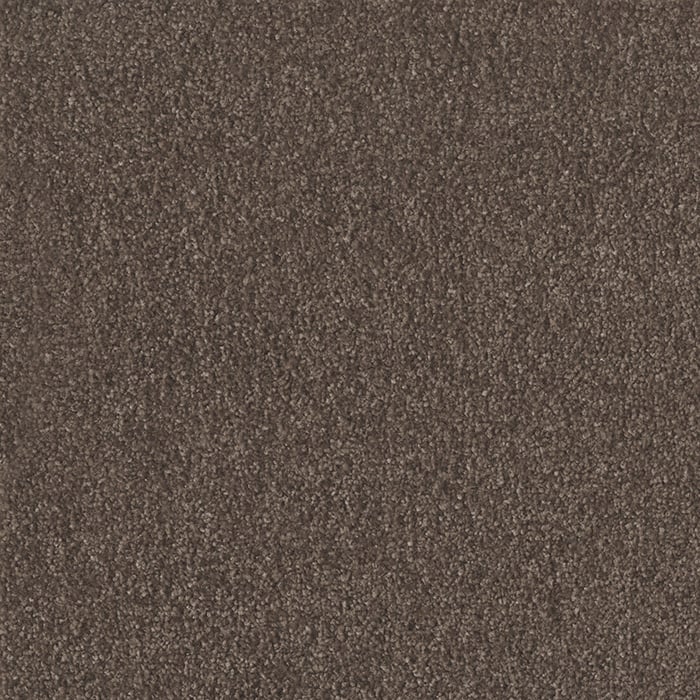 color chip