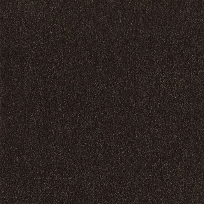 color chip