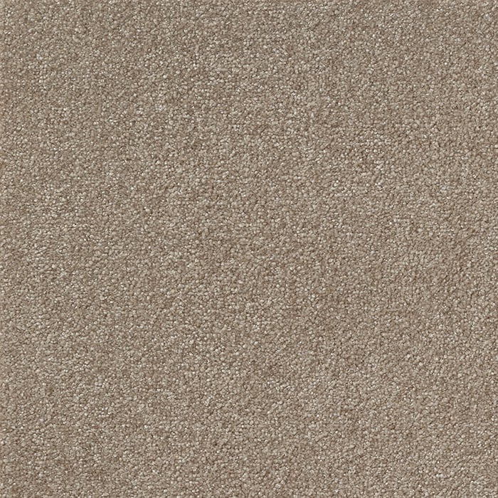 color chip