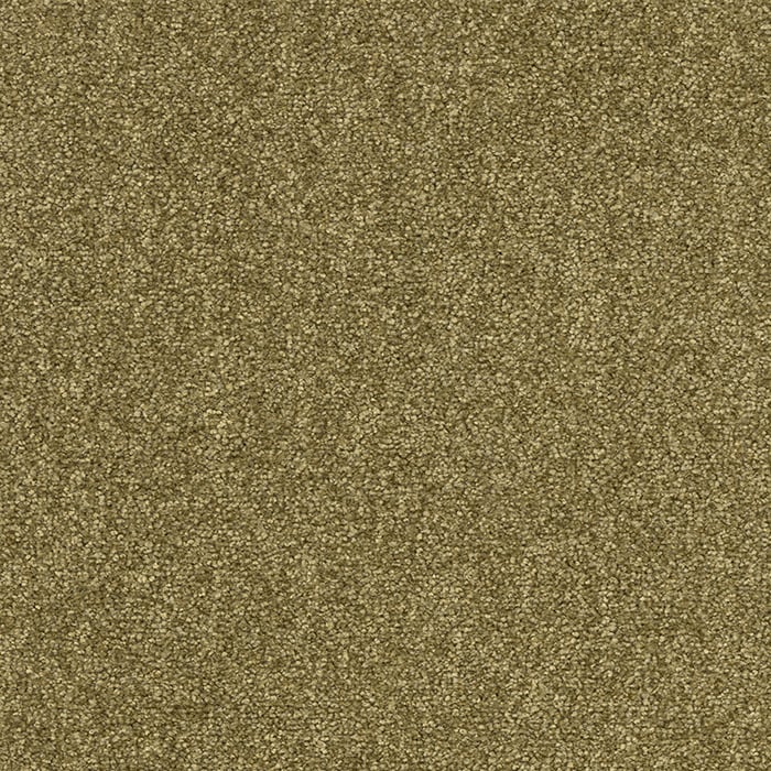 color chip