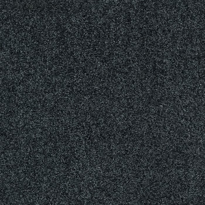 color chip