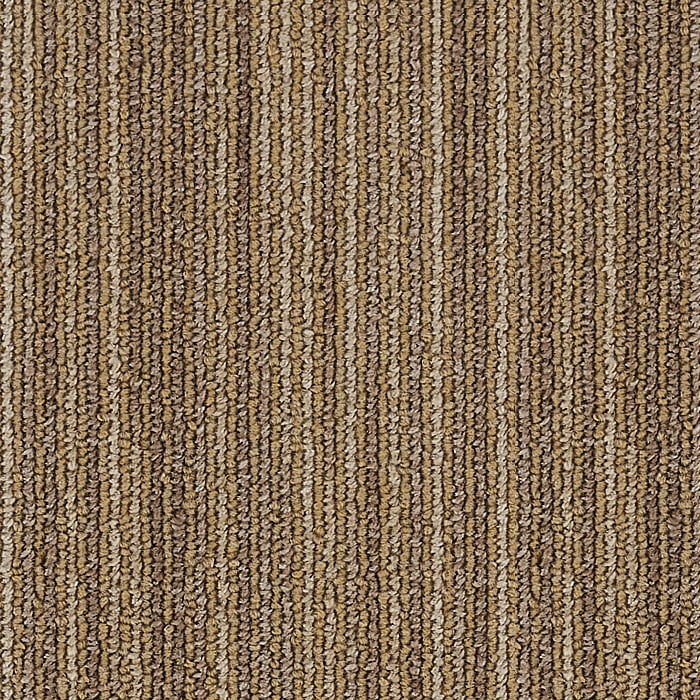 color chip