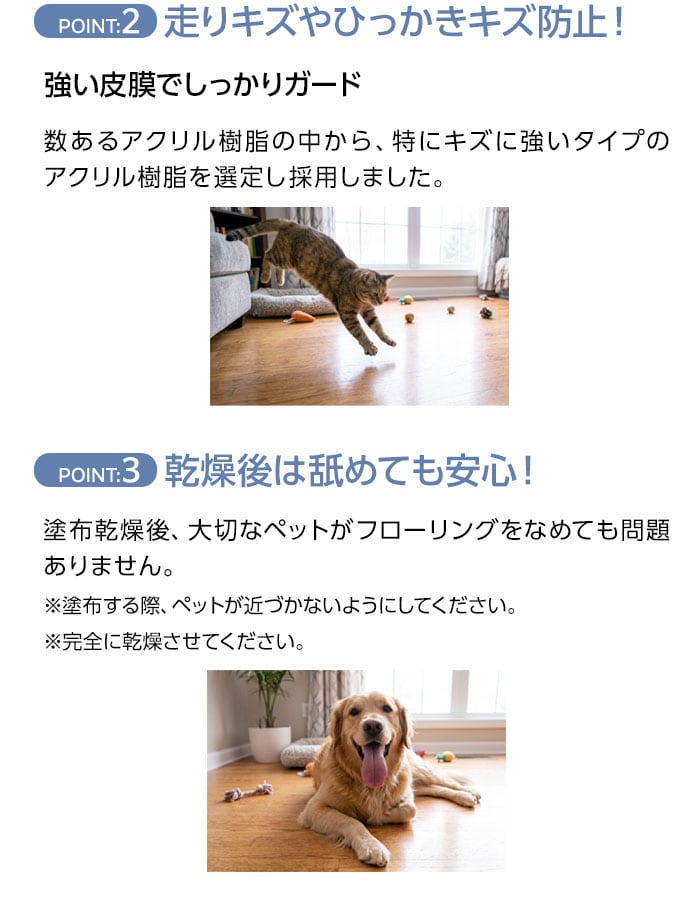 強い皮膜でしっかりガード