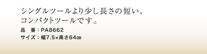 【ファイヤーツール】 シングルツール ホウキ PA8662
