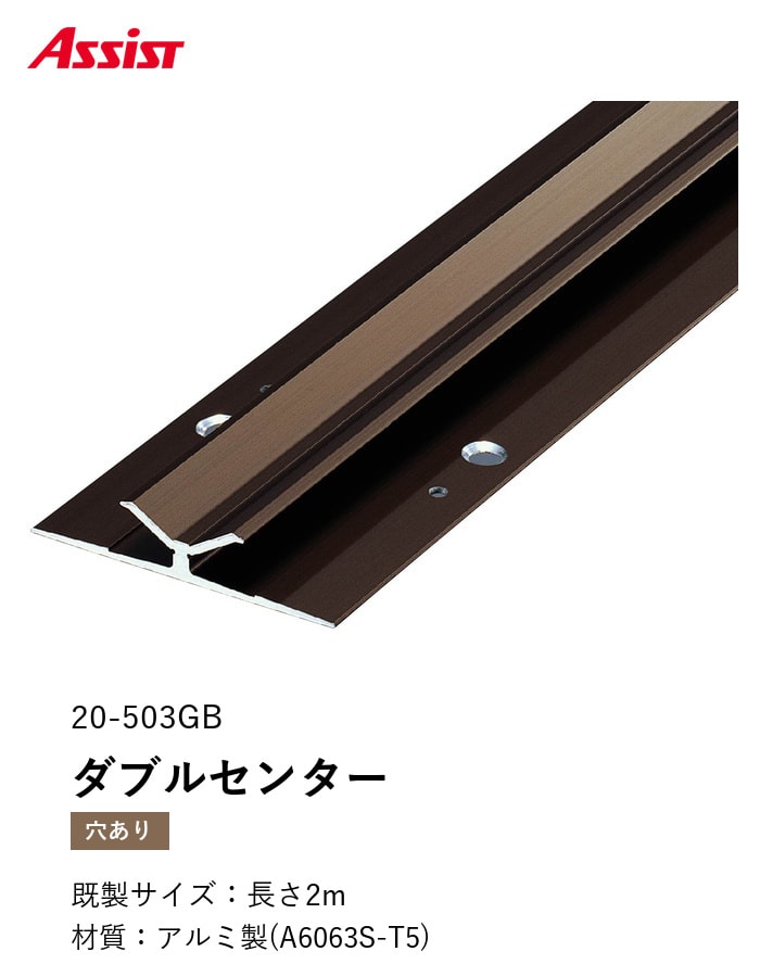カーペット見切り アルミ ダブルセンター 20-503GB 穴有（対応厚み：～7.5mm） 既製サイズ 2m